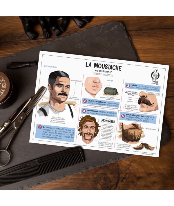 Carte - La Moustache vintage