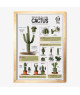 Affiche - Les Cactus vintage