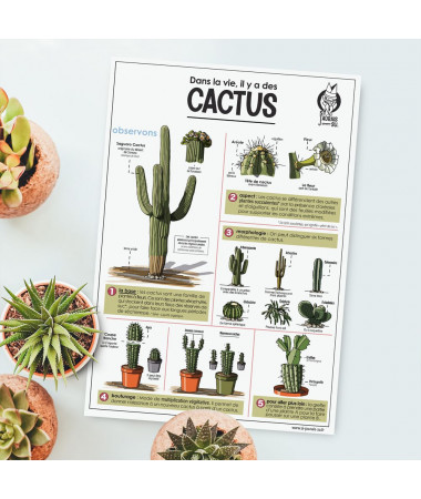 Card - Cactus